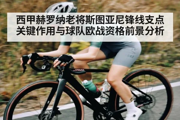 西甲赫罗纳老将斯图亚尼锋线支点关键作用与球队欧战资格前景分析